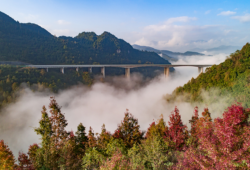 百色至靖西高速公路百大特大橋.jpg