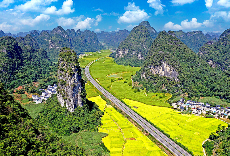 崇靖路2.jpg